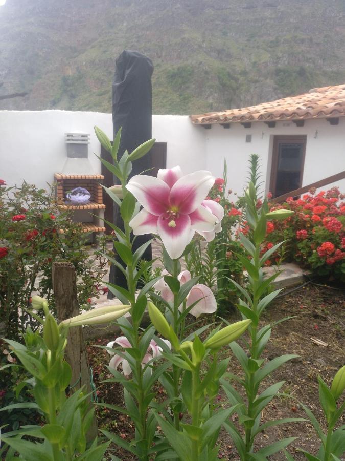 Villa Casa La Plaza Agulo Exterior foto